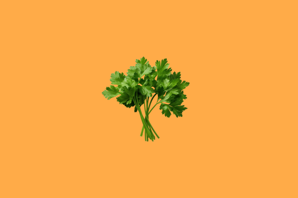 Plantas Aromáticas na Cozinha