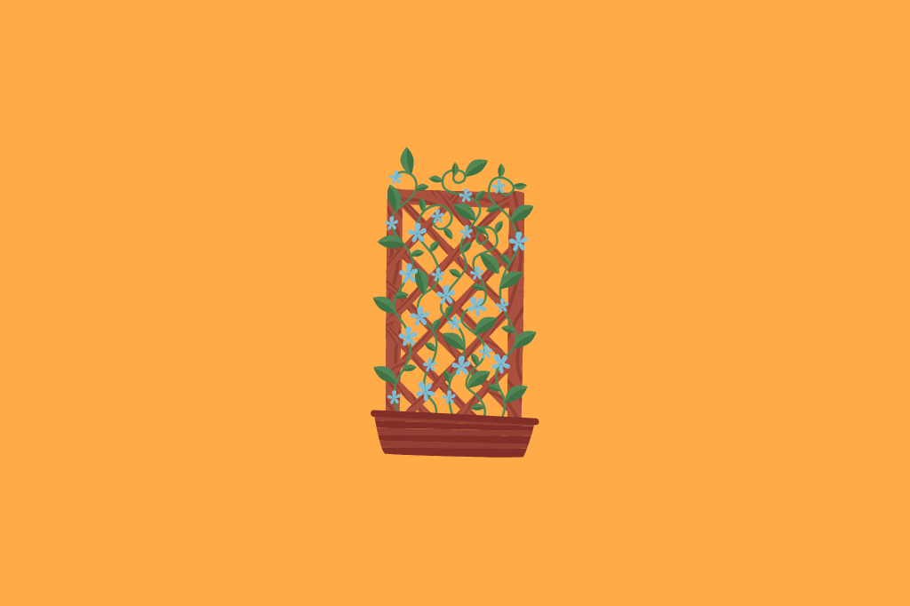 Dicas de Jardinagem para Apartamentos sem Varanda