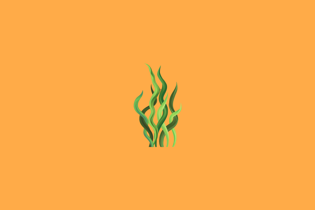 Como cultivar plantas em ambientes subaquáticos: Guia completo para iniciantes