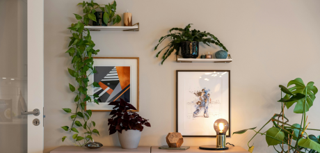 Dicas práticas para decorar sua casa com plantas
